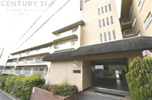 スターハイツ住吉川の画像