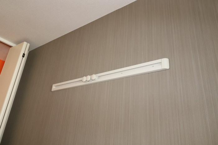 アガパンサスの収納