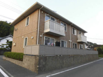 アガパンサスの画像