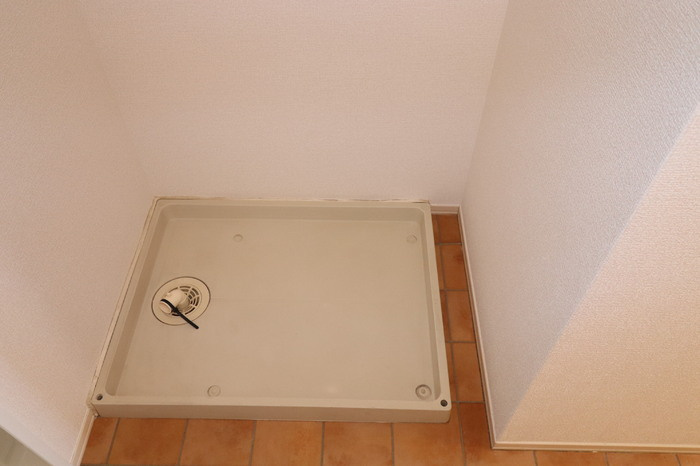 アガパンサスのその他