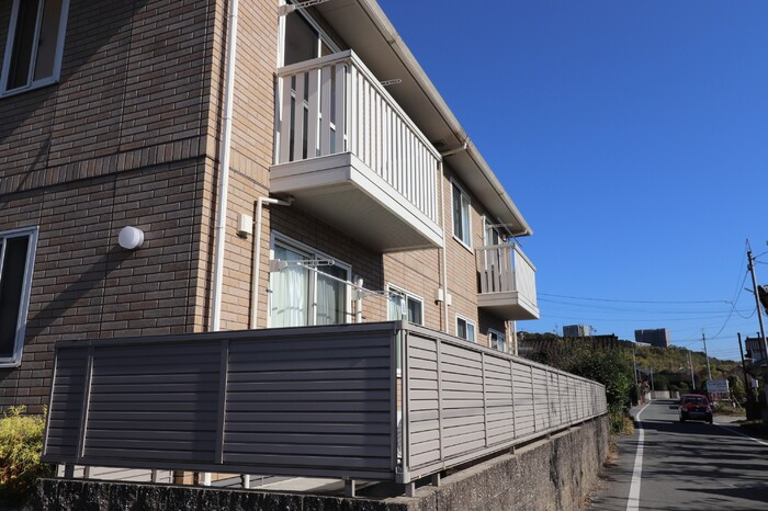 アガパンサスの外観