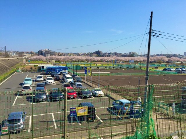 サンロータスの展望