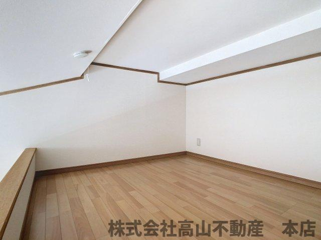 ショーンⅡBのその他