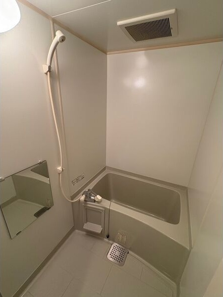 Lieben Villaの浴室