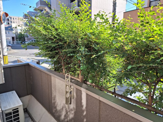 プレシアの展望