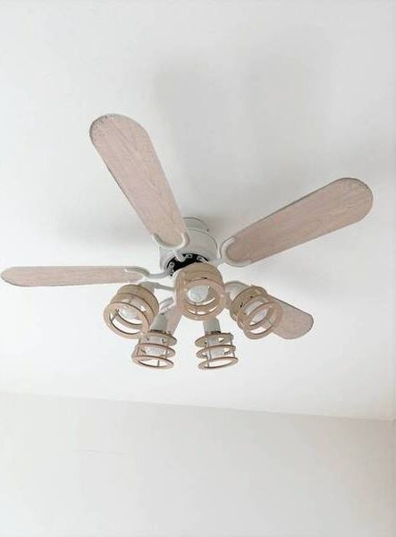 アルバーノ大江B棟のその他