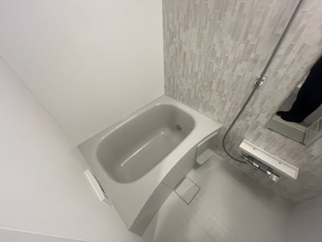 Augusta Residence 新小岩の浴室