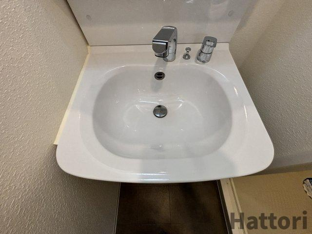 Dimus新大阪の洗面所