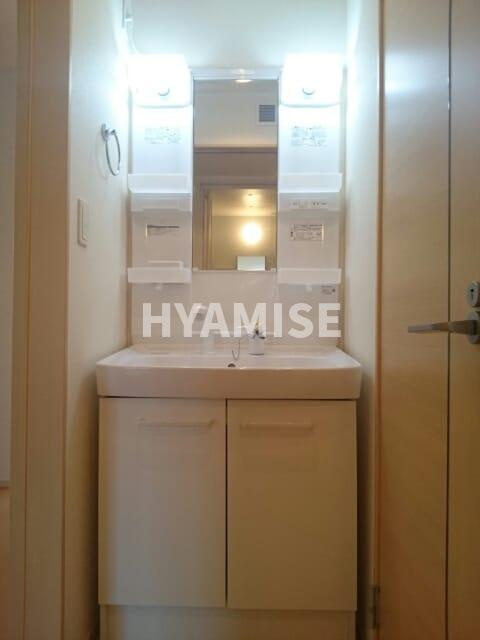 グリーンヒル三城弐番館Aの洗面所