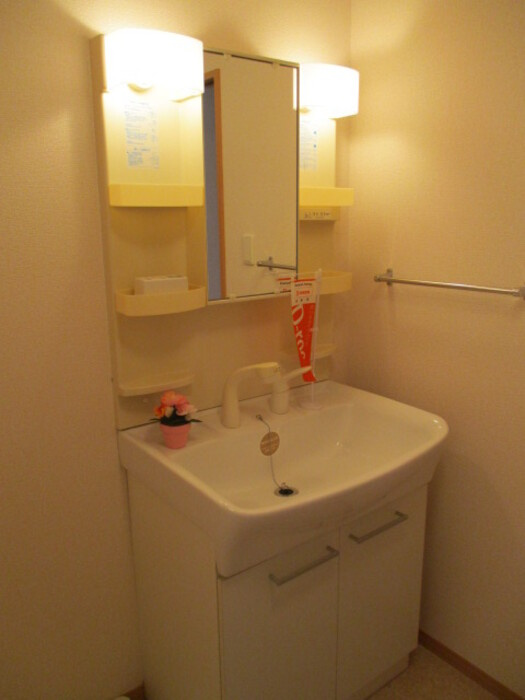 メゾン・ド・けやきの洗面所