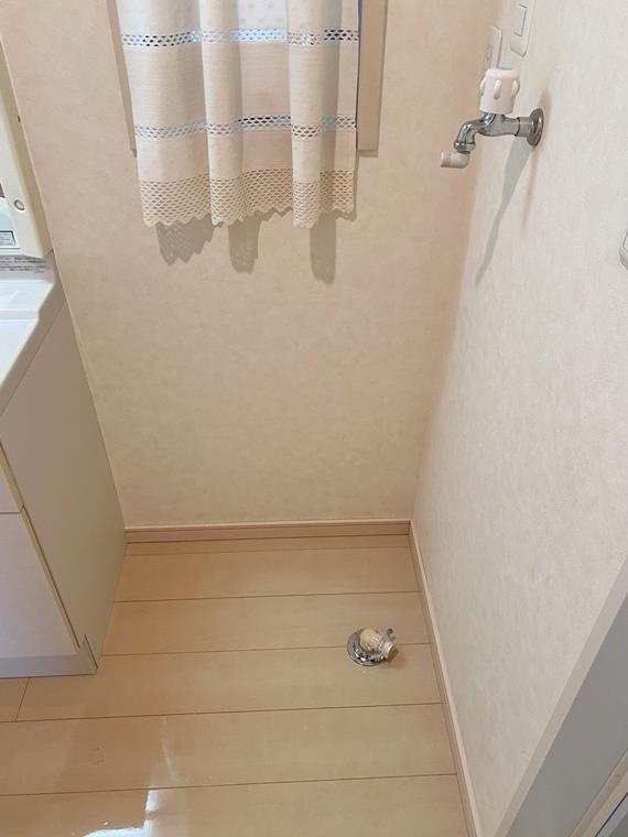 下作延戸建のその他