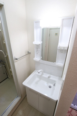 シャワー付き洗面台がある洗面所