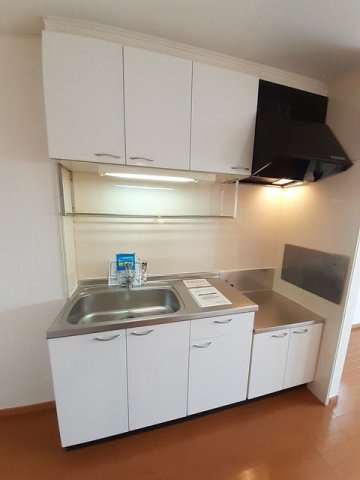 ハナミズキＢのキッチン