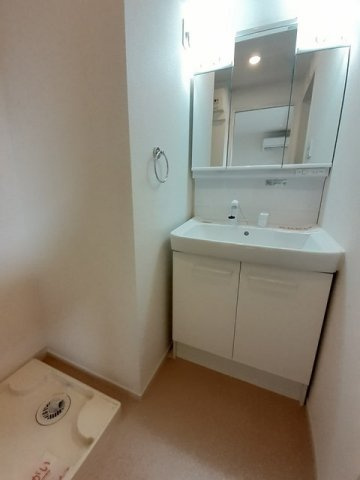 ヴィラ・フォレスタⅡの洗面所