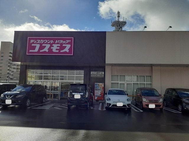 ユニメゾン糸米の周辺|ドラッグストアコスモスまで1400m