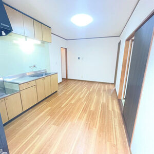 メゾンプチシャトー東の川の居間・リビング