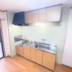 メゾンプチシャトー東の川のキッチン