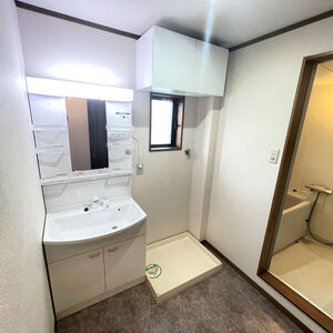 メゾンプチシャトー東の川の洗面所