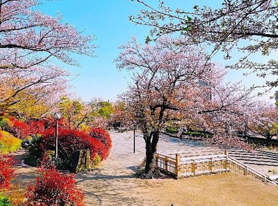 【周辺】 | 野呂田マンション