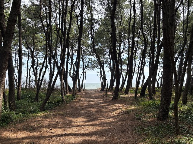 今津　中古戸建　（2025年成約済）の周辺