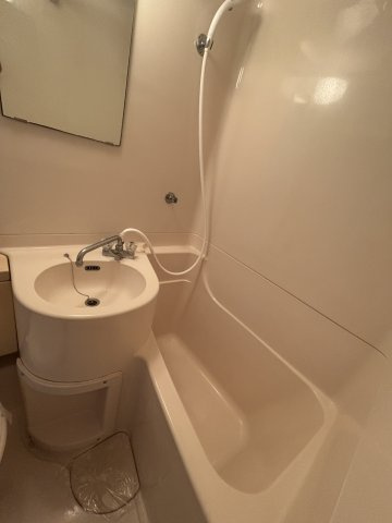 ヴィラ城山の浴室