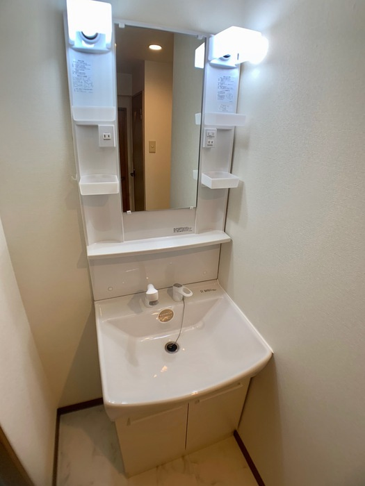 パレ・ロワイヤルⅠ棟の洗面所