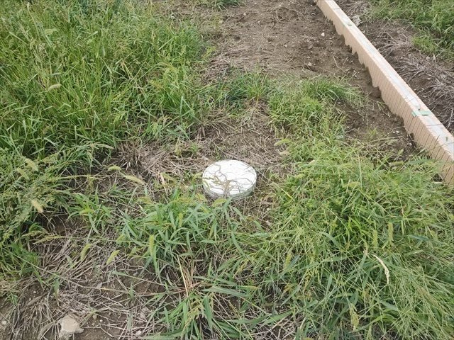 【外観】の画像