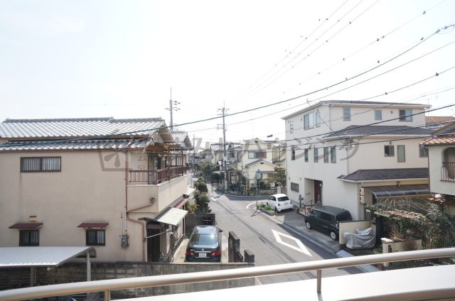 ステディコートの展望