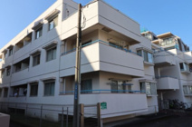 グリーンハウスクスノキの画像