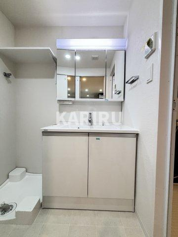 スプランディッド上本町WESTの洗面所