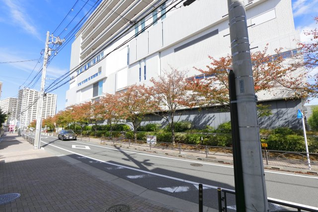 クレシア青戸の展望