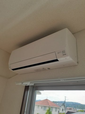 サニーヒルオオツキのその他