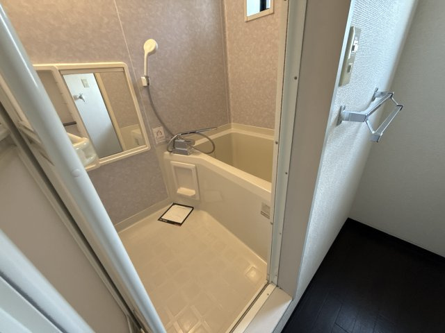 ディアス坂越の浴室