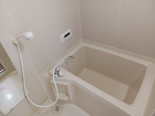 ＤＵＰＬＥＸ国王３５３の浴室