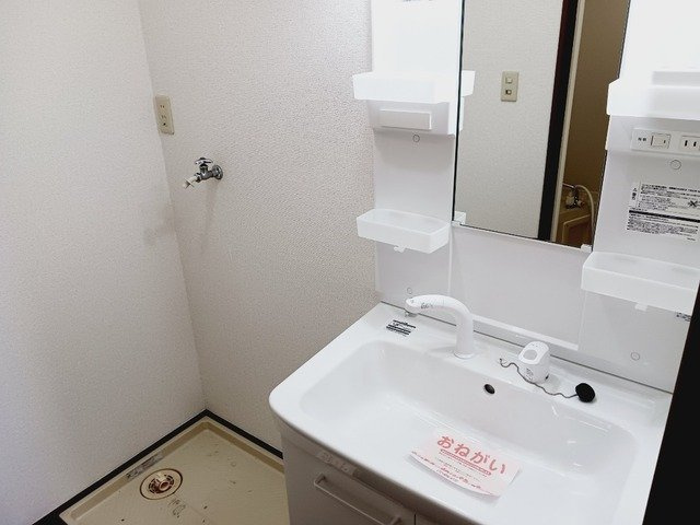 ＤＵＰＬＥＸ国王３５３の洗面所