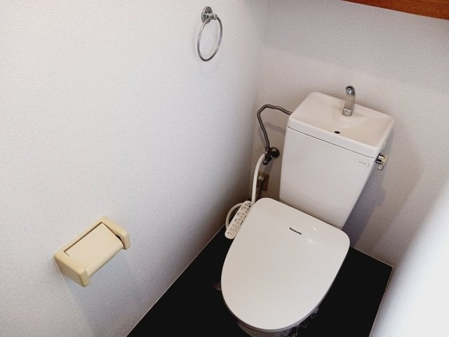 ＤＵＰＬＥＸ国王３５３のトイレ