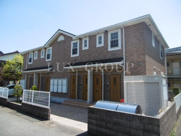 アリ・アンス林の画像