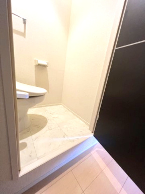 メゾン・シュシュのトイレ|段差があります