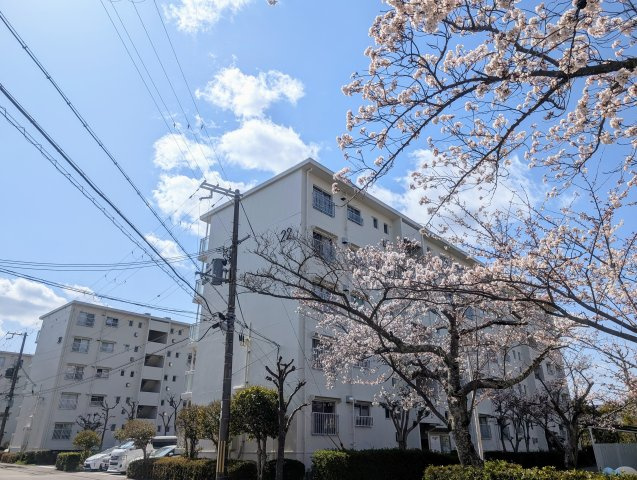 神戸市北区ひよどり台団地