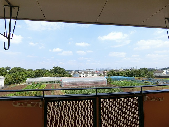 クレール清水の展望