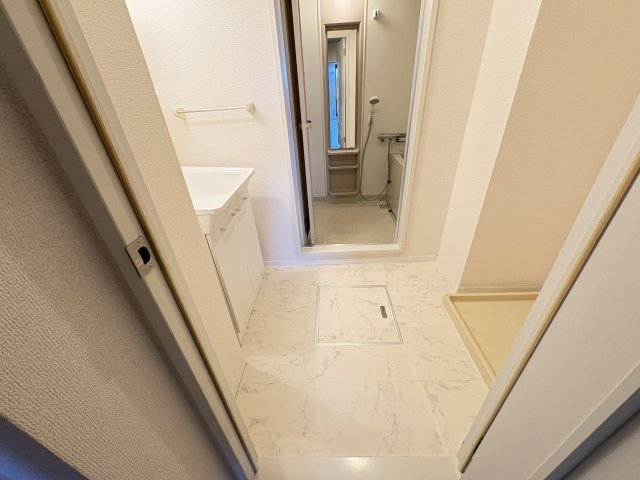 クレール清水の洗面所