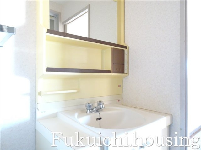 パレス藤の洗面所