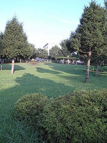 ＲＥＶＥＲＡＦＦＩＮＥのその他共用部分|★近くの連雀中央公園★　★ペットとお散歩には最適です★