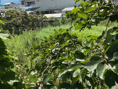  | 春日町黒井中古戸建800万円 | 畑66坪