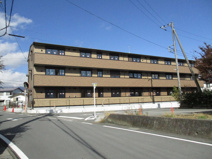 オレンジコートの画像