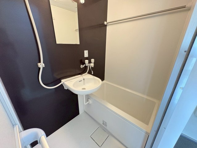 ビューパレー市川の浴室