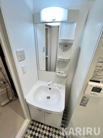 ブランシュ京橋の洗面所