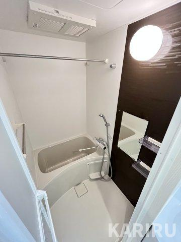 ブランシュ京橋の浴室