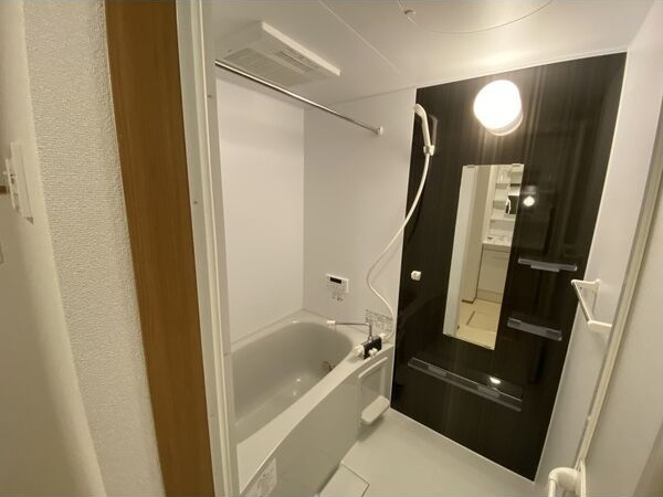 Graceful VIの浴室