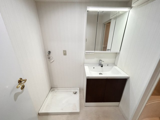 グラン・パレ六甲の独立洗面台